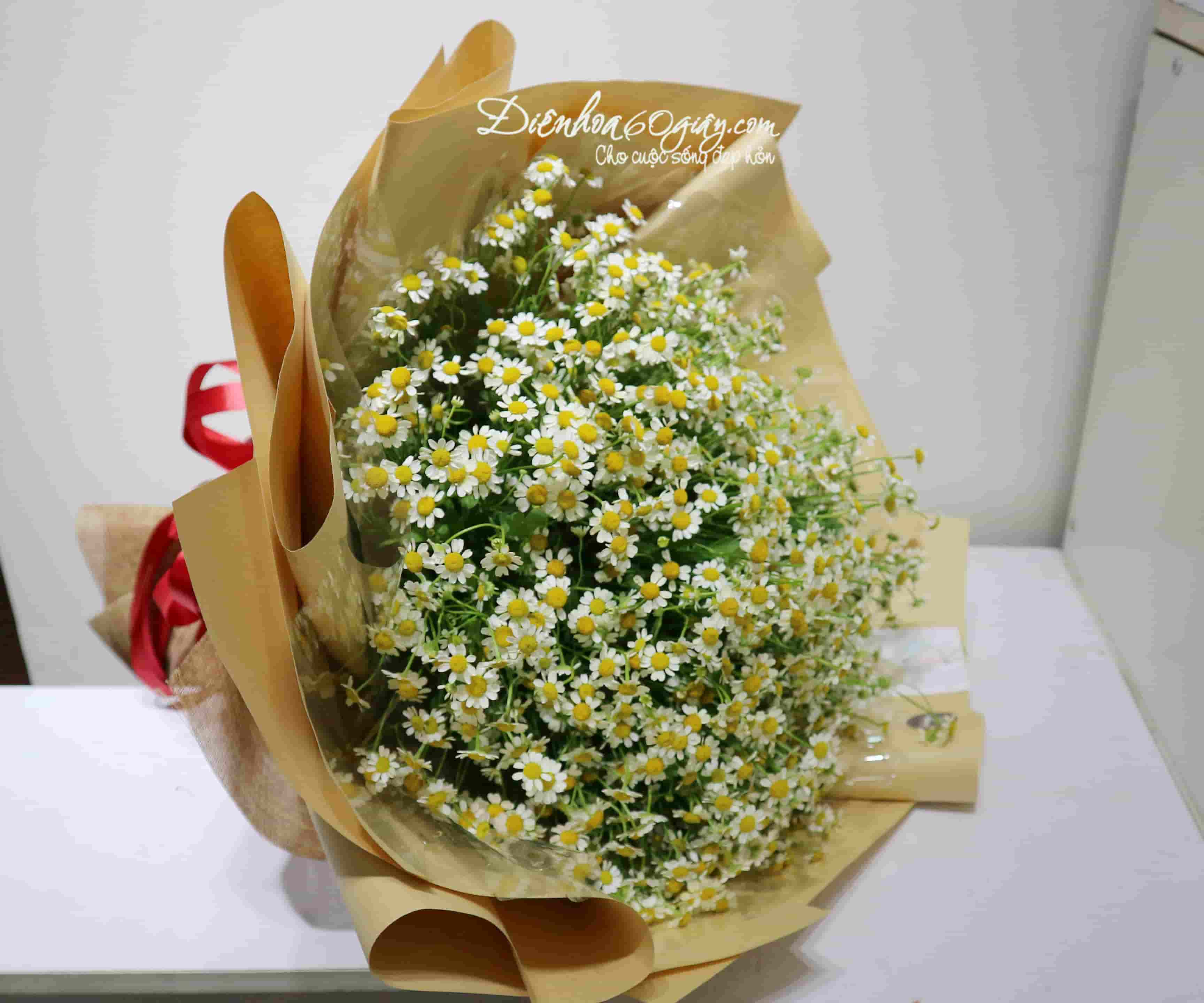 Bó hoa cúc tana BHT020