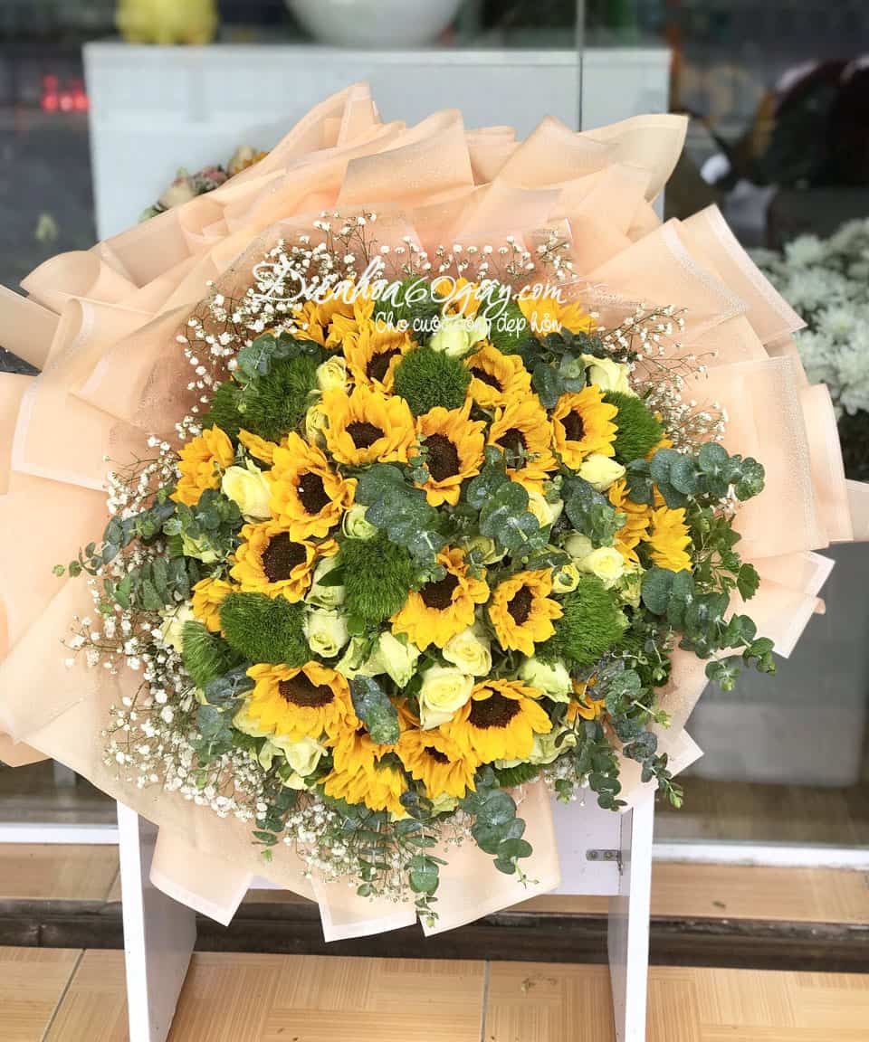 Hoa Hướng Dương và wicky HTY02