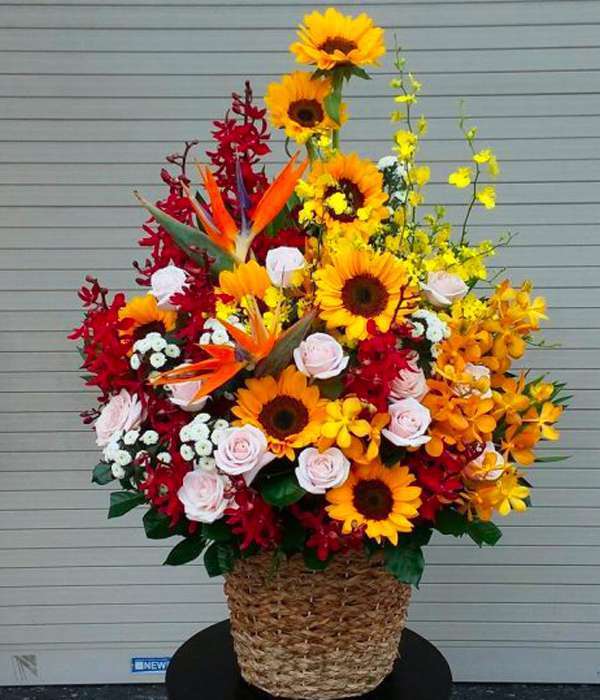 Hoa sinh nhật HSN05