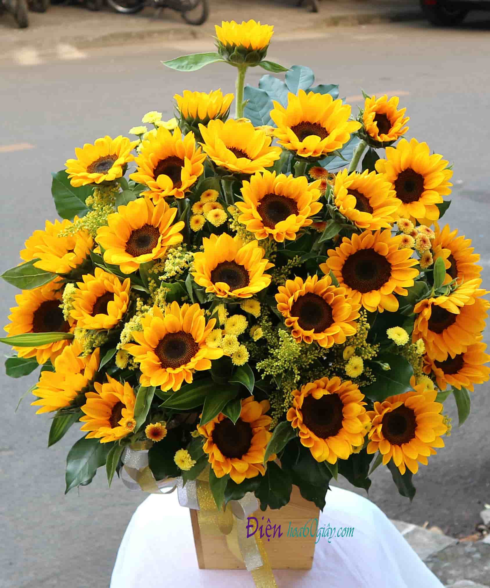 Hộp hoa hướng dương HHT02