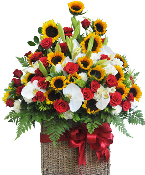 Hoa sinh nhật HSN18