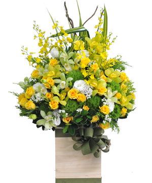 Hoa sinh nhật HSN16