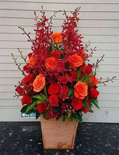 Hoa sinh nhật HSN14