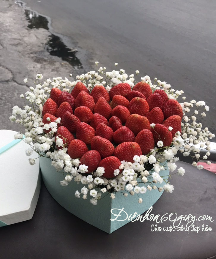 Hộp hoa dâu tây 19